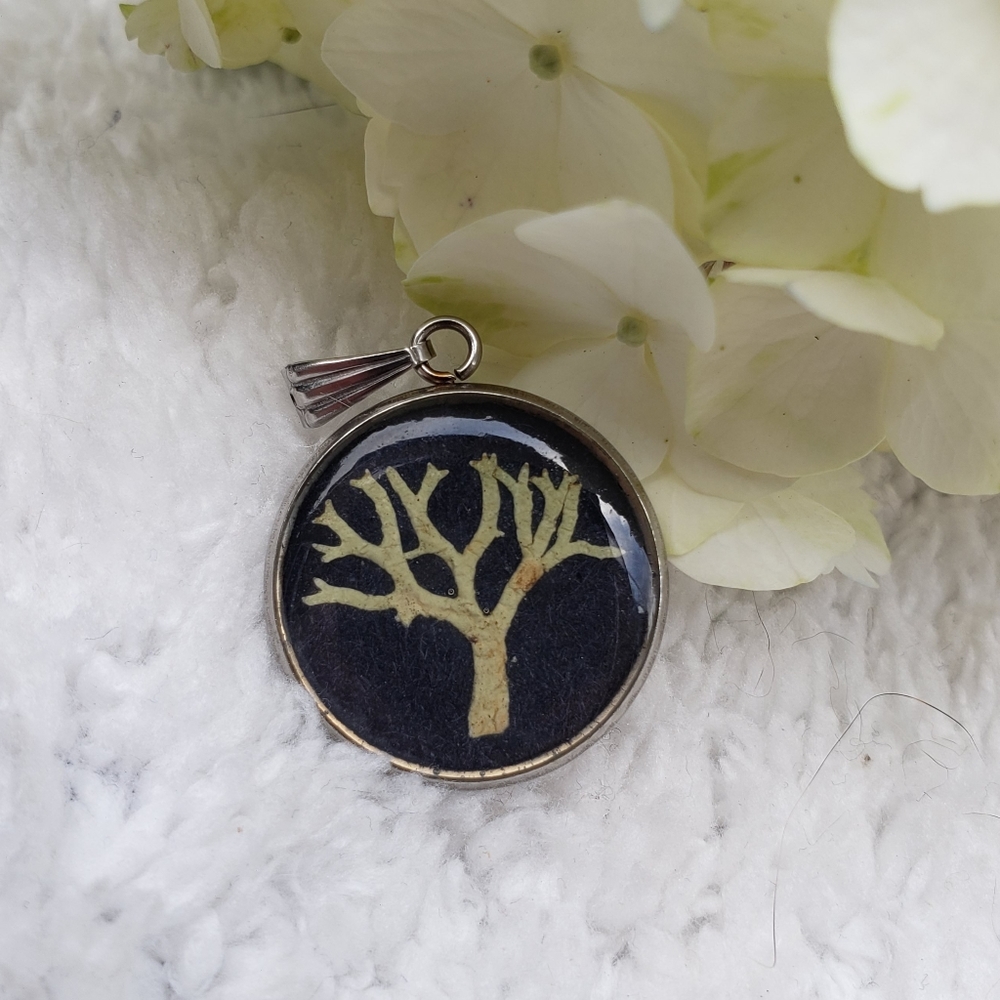 Vintage 50's Dried Plant Tree Nature Pendant